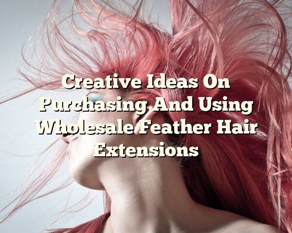 Creative Ideas On Purchasing And Using Wholesale Feather Hair Extensions