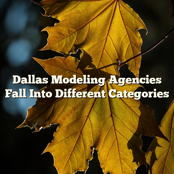 Dallas Modeling Agencies Fall Into Different Categories