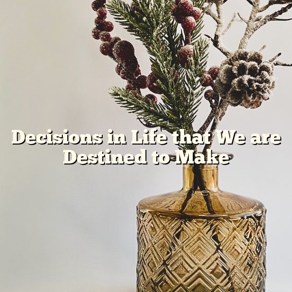 Decisions in Life that We are Destined to Make