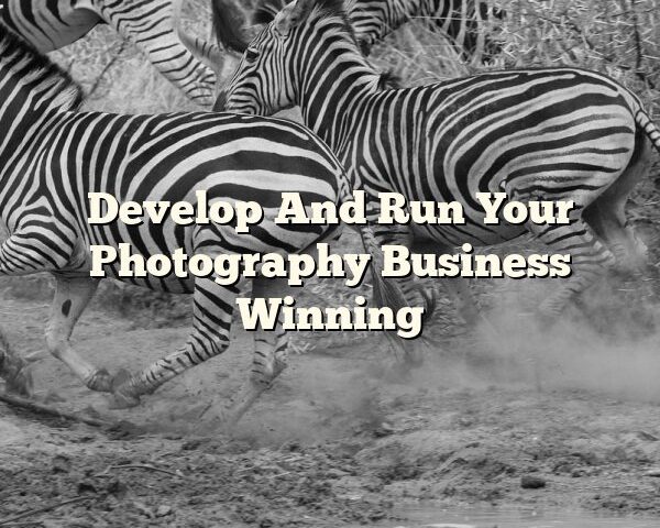 Develop And Run Your Photography Business Winning