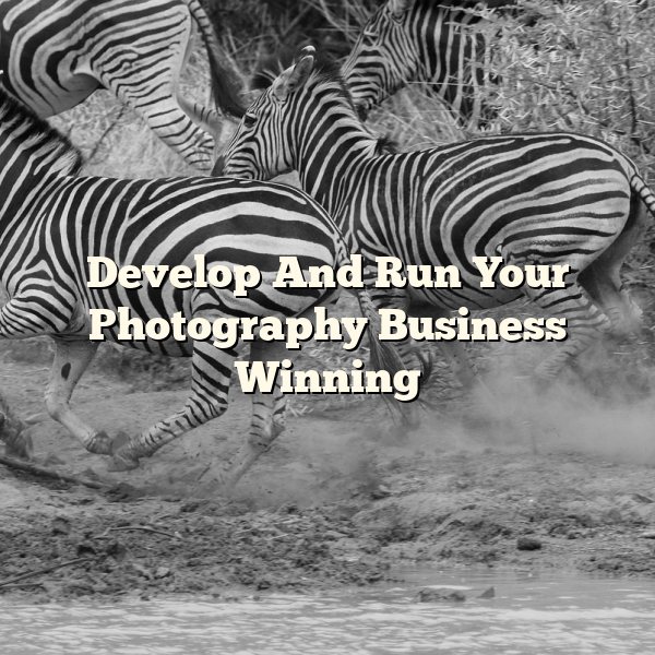 Develop And Run Your Photography Business Winning