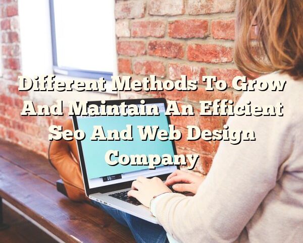 Different Methods To Grow And Maintain An Efficient Seo And Web Design Company