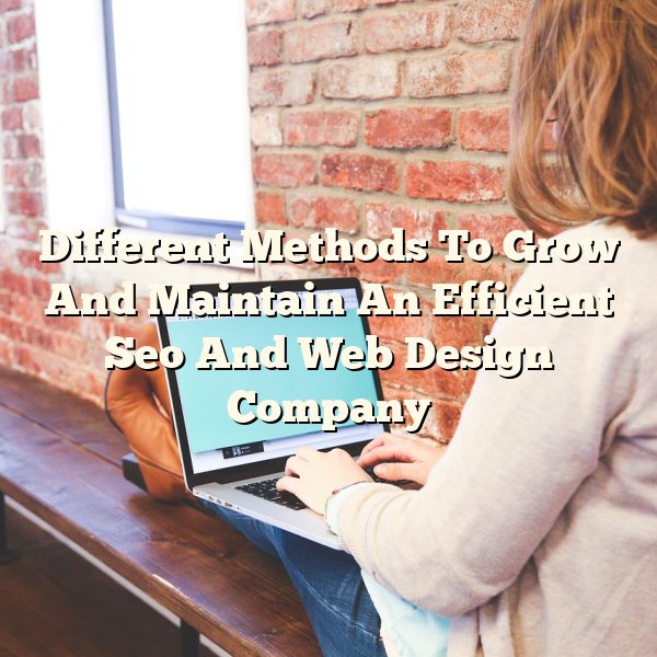 Different Methods To Grow And Maintain An Efficient Seo And Web Design Company