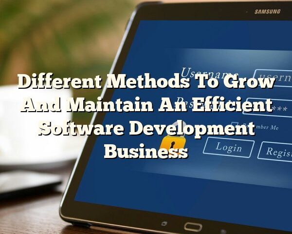 Different Methods To Grow And Maintain An Efficient Software Development Business