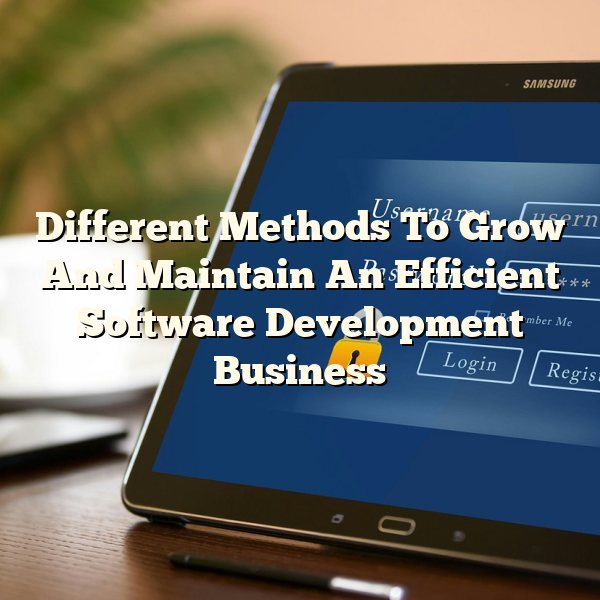 Different Methods To Grow And Maintain An Efficient Software Development Business