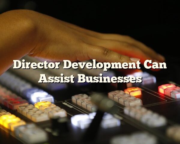 Director Development Can Assist Businesses