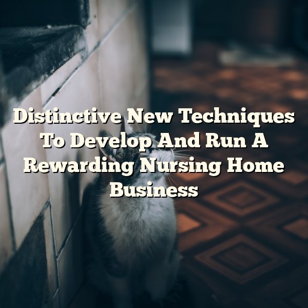 Distinctive New Techniques To Develop And Run A Rewarding Nursing Home Business