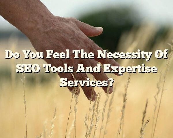 Do You Feel The Necessity Of SEO Tools And Expertise Services?