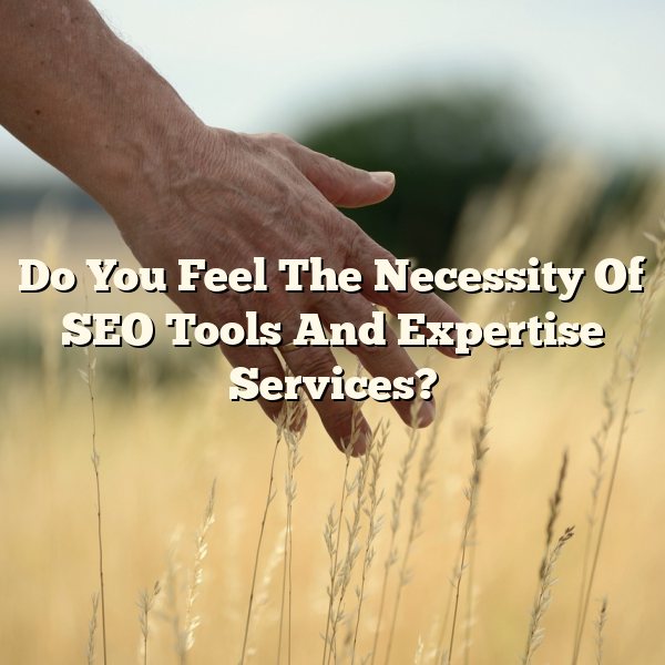 Do You Feel The Necessity Of SEO Tools And Expertise Services?