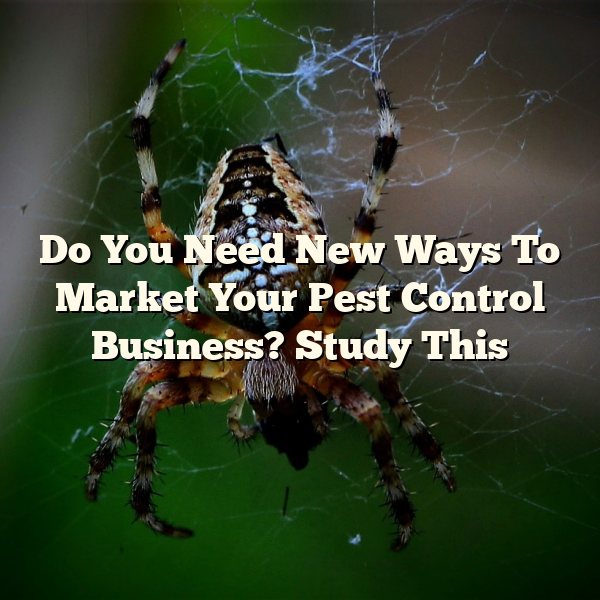 Do You Need New Ways To Market Your Pest Control Business? Study This