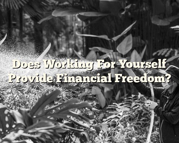 Does Working For Yourself Provide Financial Freedom?