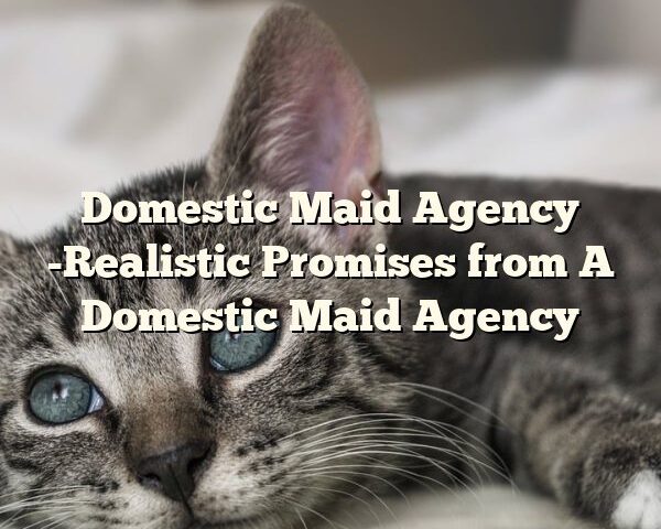 Domestic Maid Agency -Realistic Promises from A Domestic Maid Agency