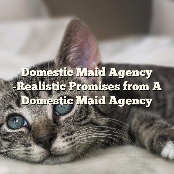 Domestic Maid Agency -Realistic Promises from A Domestic Maid Agency