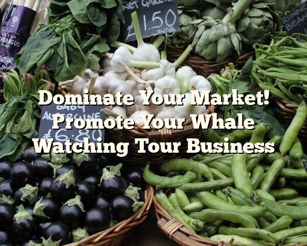 Dominate Your Market! Promote Your Whale Watching Tour Business