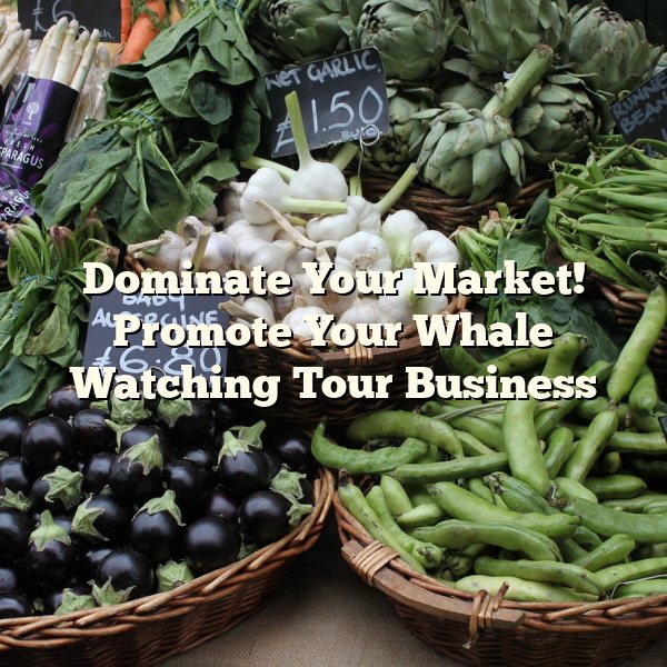 Dominate Your Market! Promote Your Whale Watching Tour Business