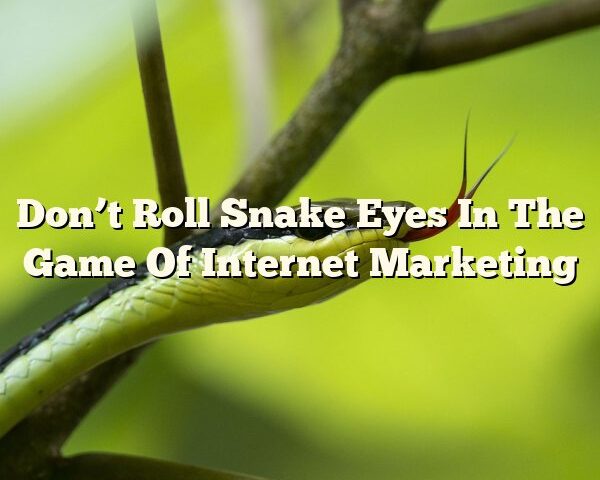 Don’t Roll Snake Eyes In The Game Of Internet Marketing