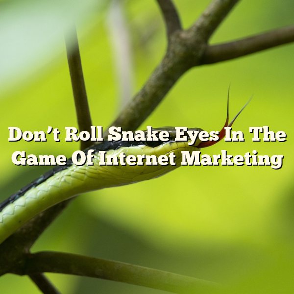 Don’t Roll Snake Eyes In The Game Of Internet Marketing