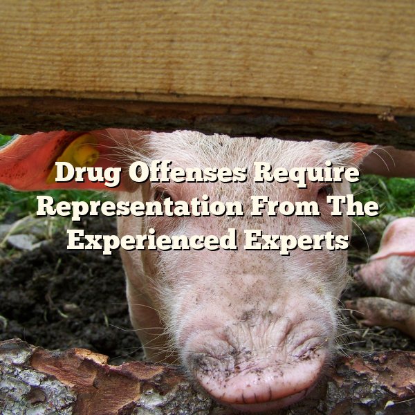 Drug Offenses Require Representation From The Experienced Experts