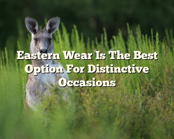 Eastern Wear Is The Best Option For Distinctive Occasions