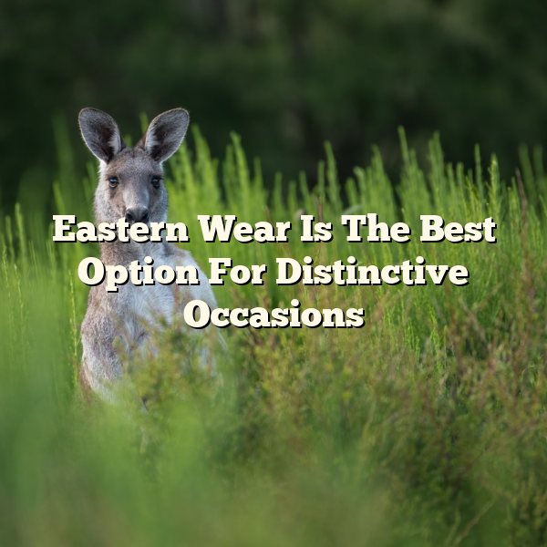 Eastern Wear Is The Best Option For Distinctive Occasions