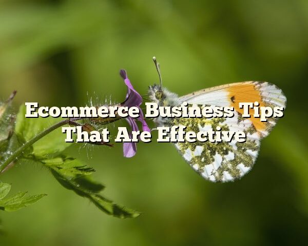 Ecommerce Business Tips That Are Effective