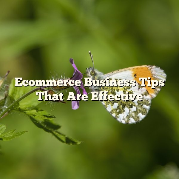 Ecommerce Business Tips That Are Effective