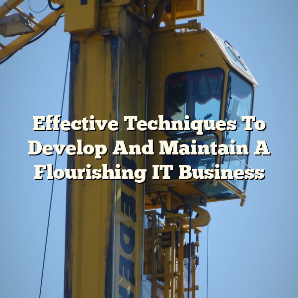 Effective Techniques To Develop And Maintain A Flourishing IT Business