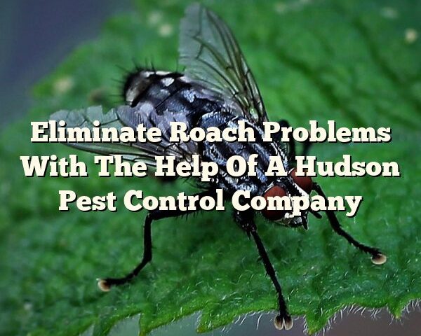 Eliminate Roach Problems With The Help Of A Hudson Pest Control Company