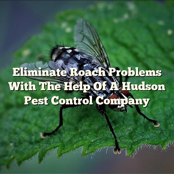 Eliminate Roach Problems With The Help Of A Hudson Pest Control Company