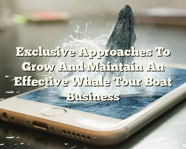 Exclusive Approaches To Grow And Maintain An Effective Whale Tour Boat Business