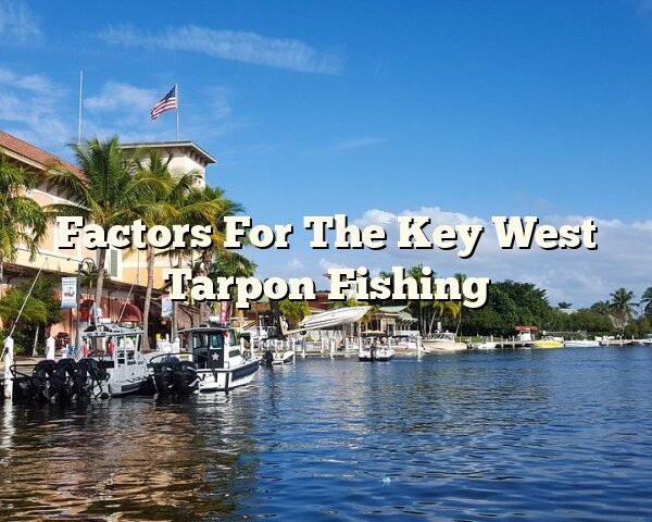 Factors For The Key West Tarpon Fishing