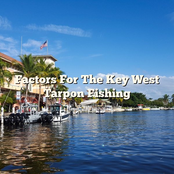 Factors For The Key West Tarpon Fishing