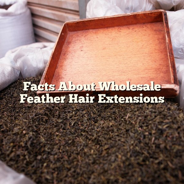 Facts About Wholesale Feather Hair Extensions