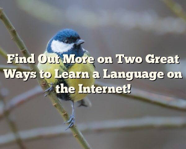 Find Out More on Two Great Ways to Learn a Language on the Internet!