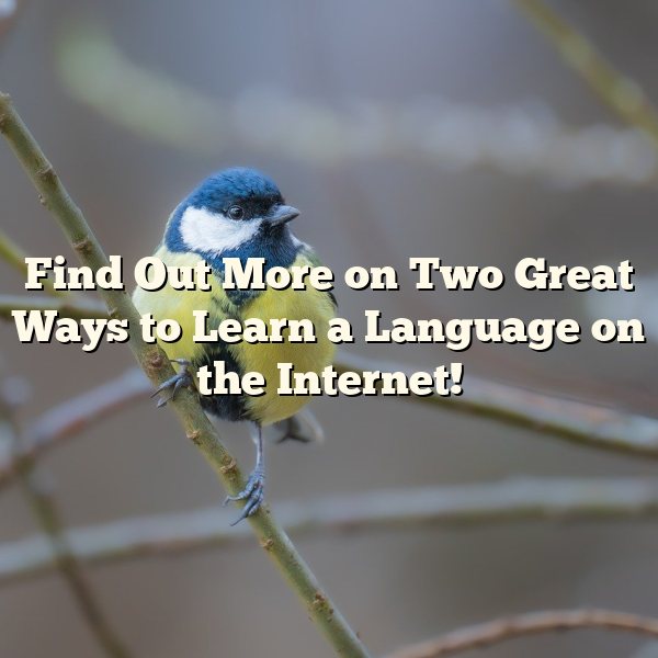 Find Out More on Two Great Ways to Learn a Language on the Internet!