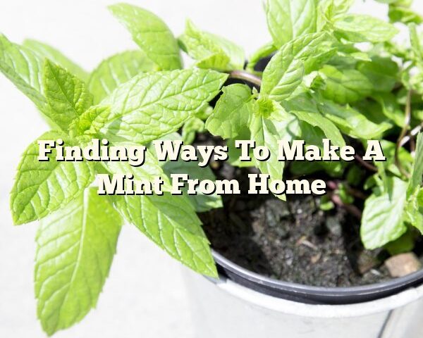 Finding Ways To Make A Mint From Home