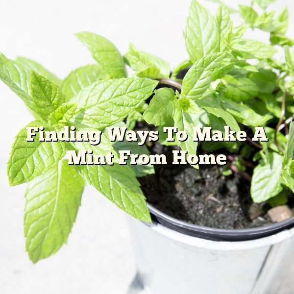 Finding Ways To Make A Mint From Home