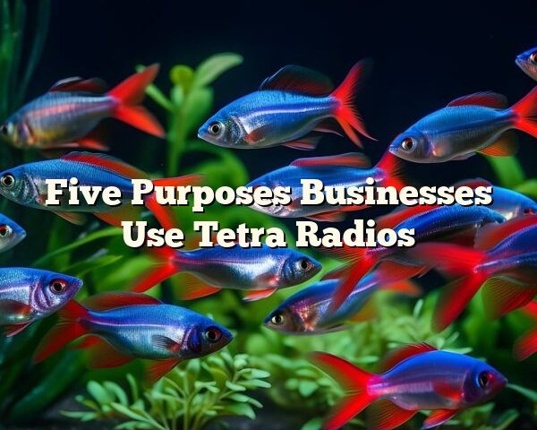 Five Purposes Businesses Use Tetra Radios