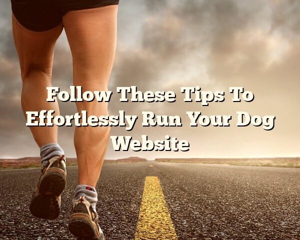 Follow These Tips To Effortlessly Run Your Dog Website