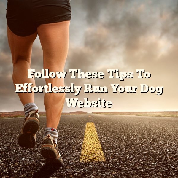 Follow These Tips To Effortlessly Run Your Dog Website