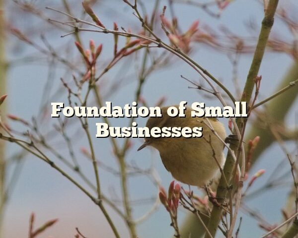 Foundation of Small Businesses