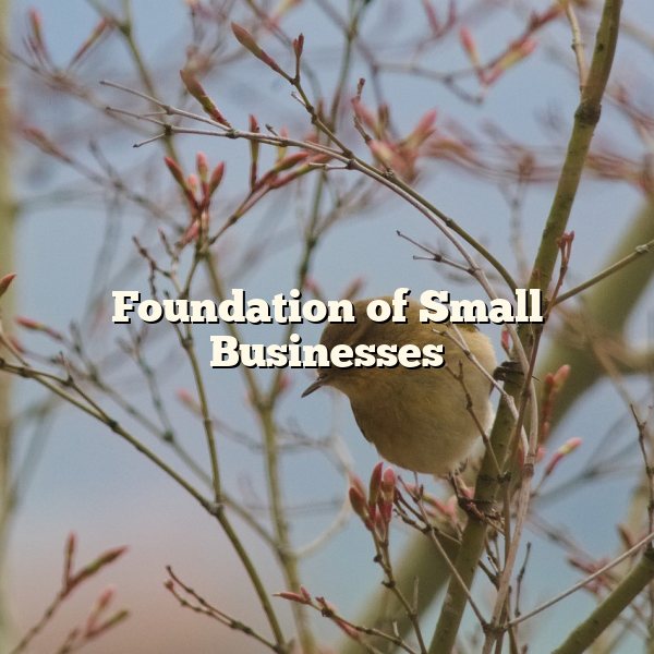 Foundation of Small Businesses