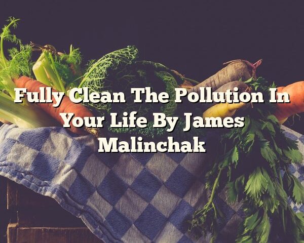 Fully Clean The Pollution In Your Life By James Malinchak