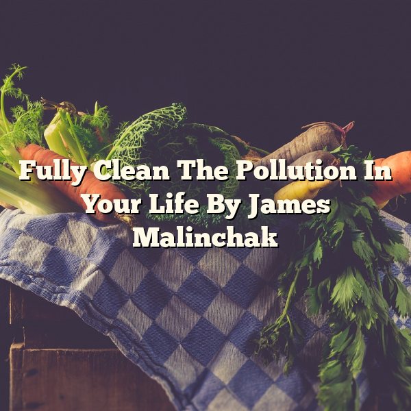 Fully Clean The Pollution In Your Life By James Malinchak