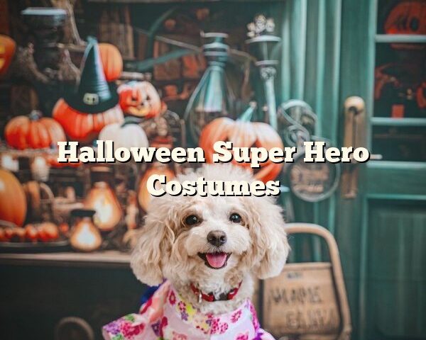 Halloween Super Hero Costumes