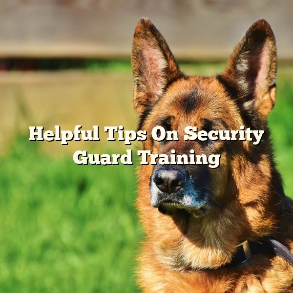 Helpful Tips On Security Guard Training