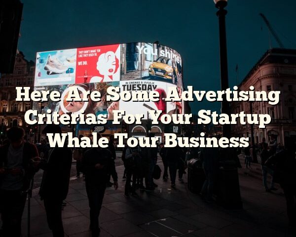 Here Are Some Advertising Criterias For Your Startup Whale Tour Business