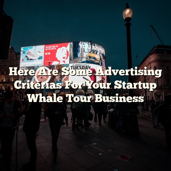 Here Are Some Advertising Criterias For Your Startup Whale Tour Business