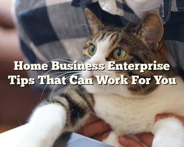 Home Business Enterprise Tips That Can Work For You