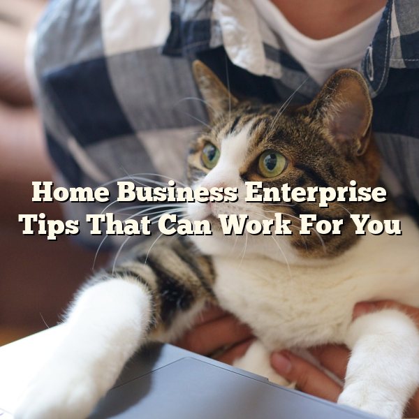 Home Business Enterprise Tips That Can Work For You